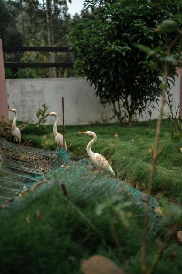 Vythiri Villas Wayanad Eksteriør billede