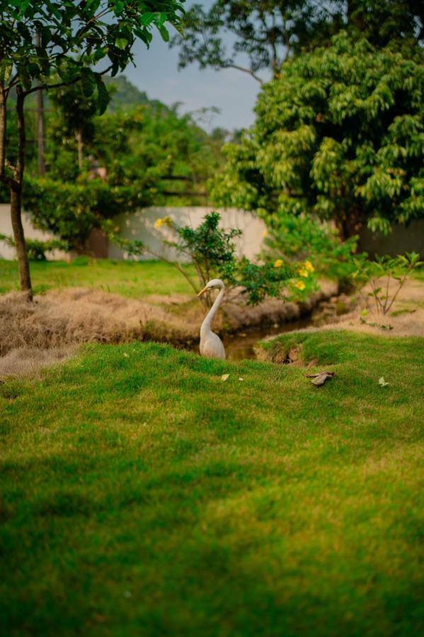 Vythiri Villas Wayanad Eksteriør billede